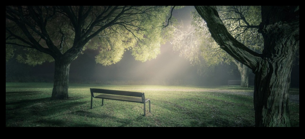 Landscapes that Evoke Emotions: Connecting with Nature's Soul