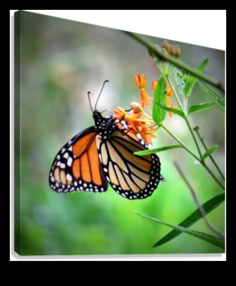 Nature's Gallery: Transform Your Space with Garden Art