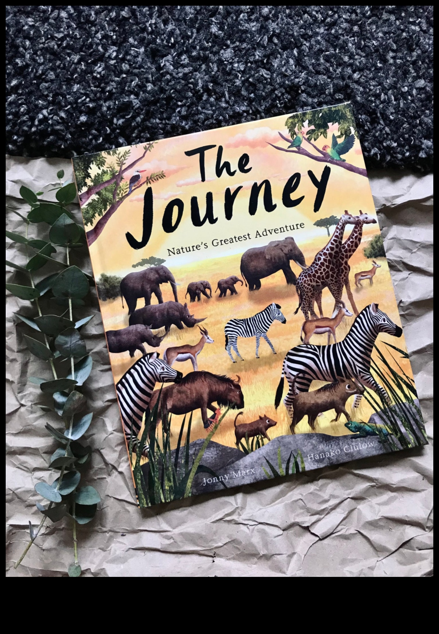 Epic Nature Adventures: A Compilation of Spectacular Landscape Views