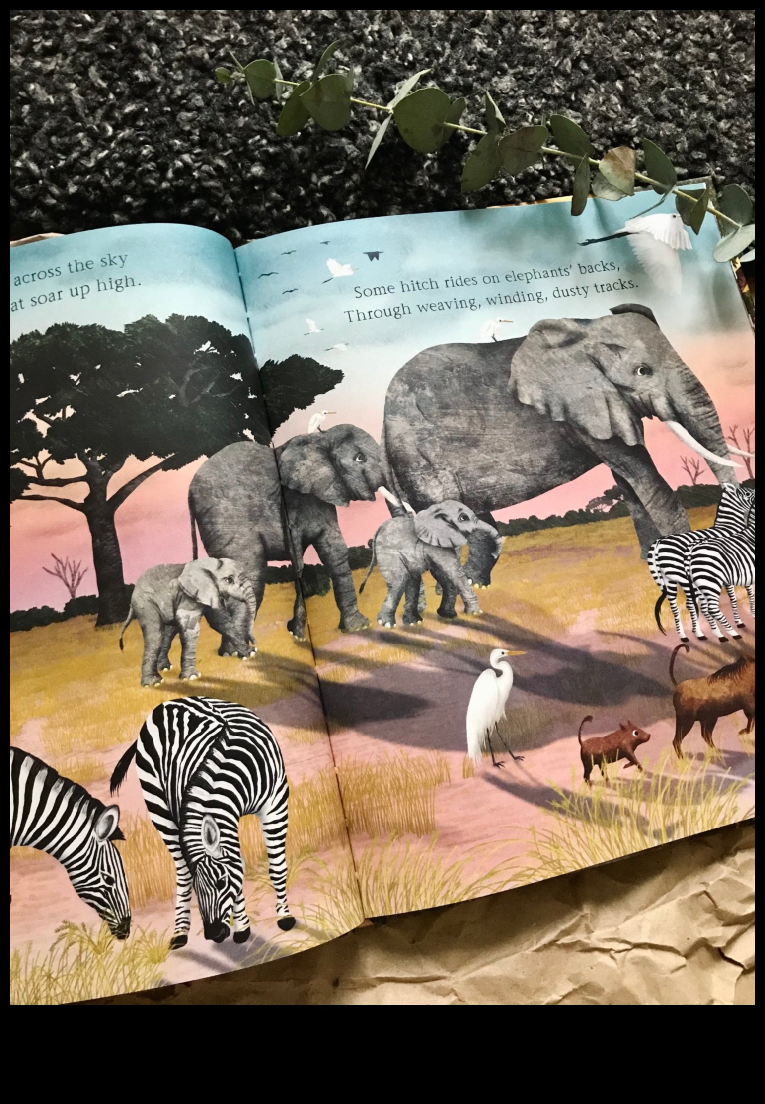 Epic Nature Adventures: A Compilation of Spectacular Landscape Views