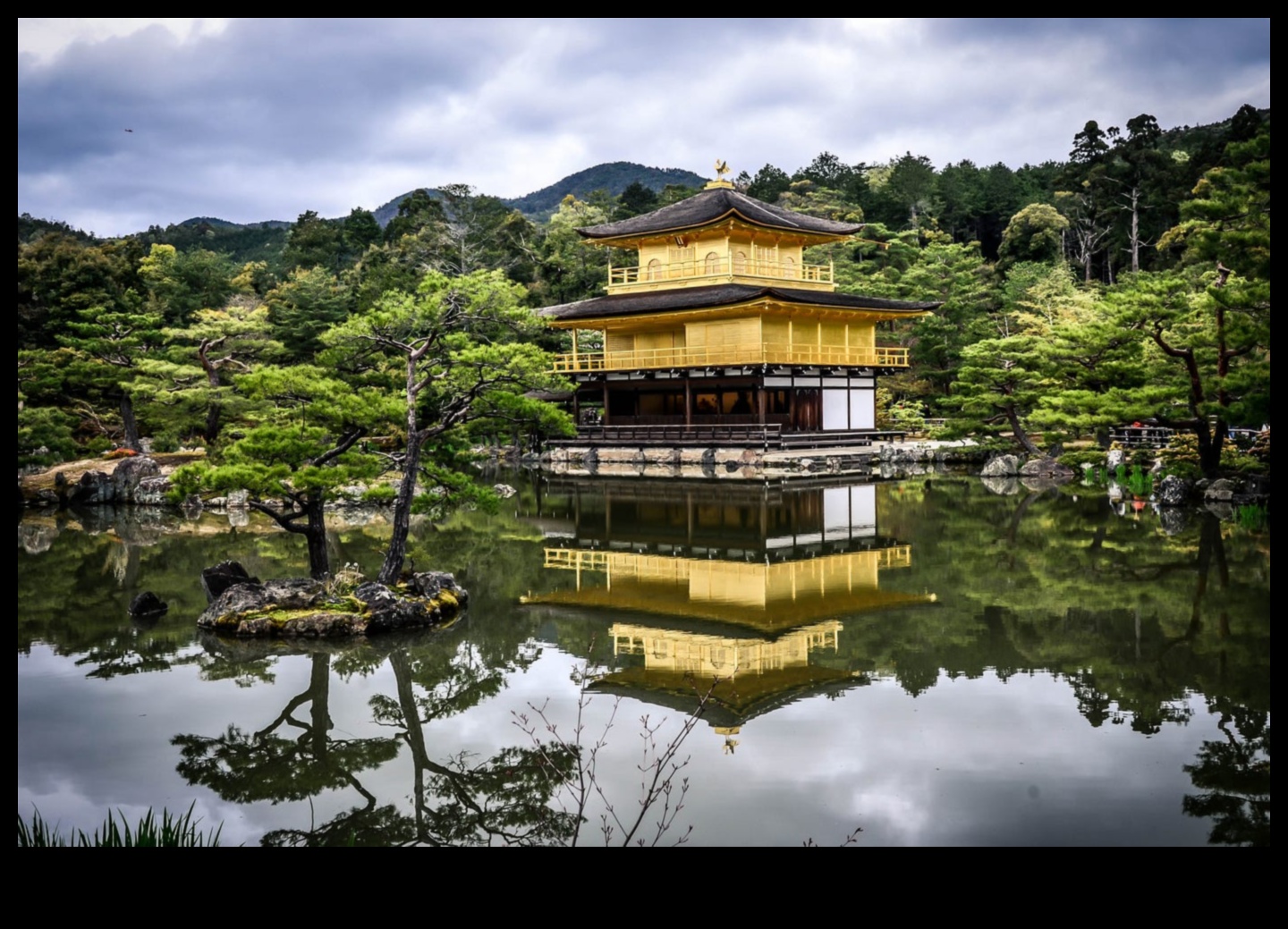 Nature's Harmony: Japanese Garden Beauty in Every Leaf