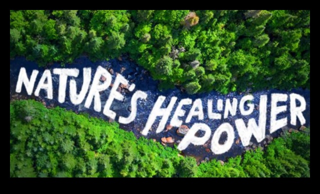 Nature's Healing Power 1