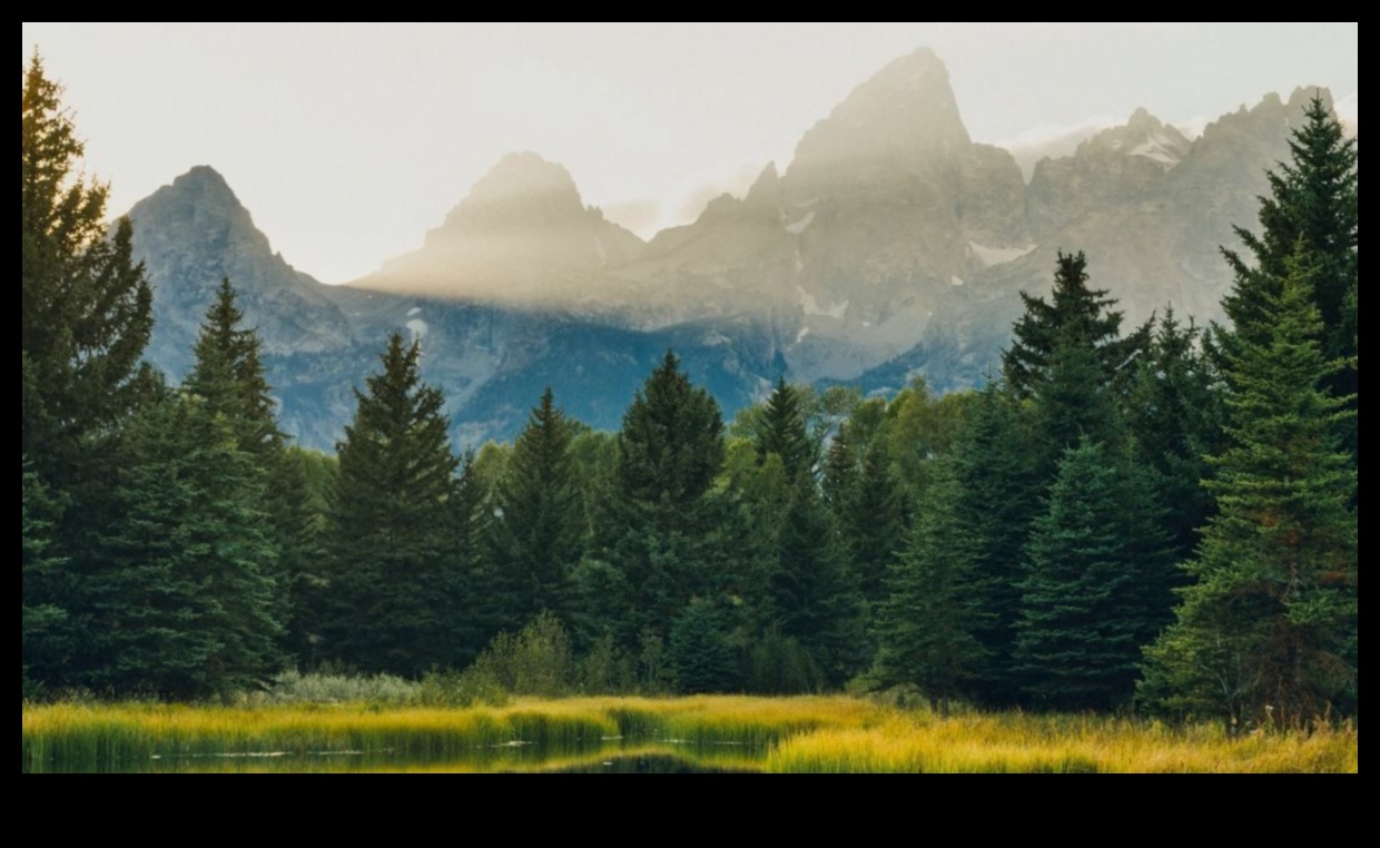 Literary Odyssey: Nature's Influence Across Varied Written Works