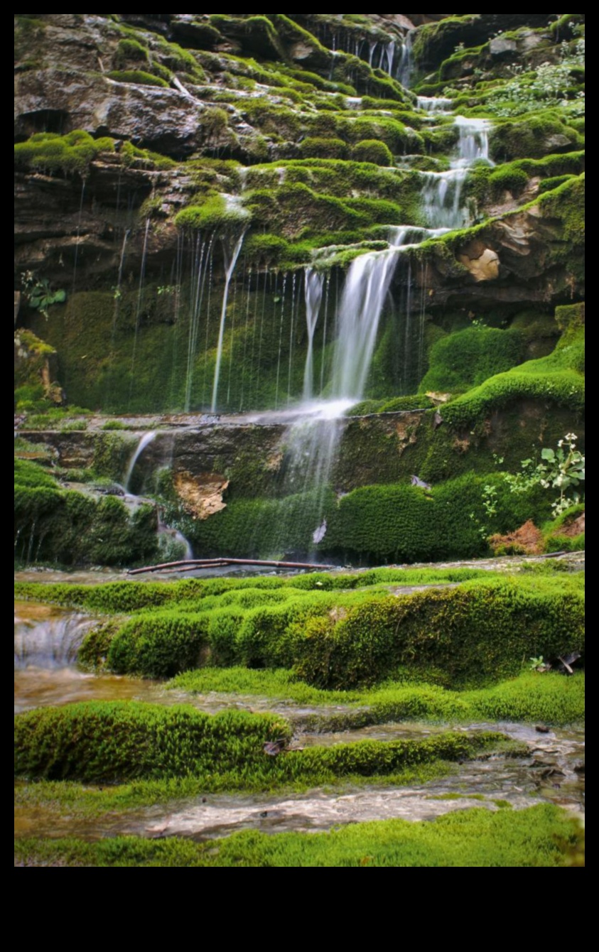 Literary Odyssey: Nature's Influence Across Varied Written Works