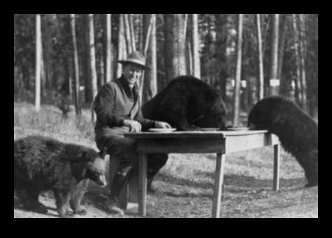 Nature's Sanctuary: Ecological Reserves Explored