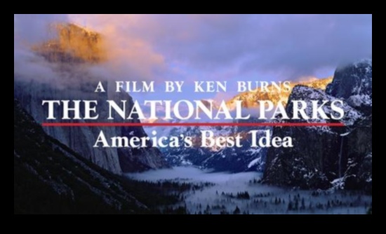 Nature's Sanctuary: Ecological Reserves Explored