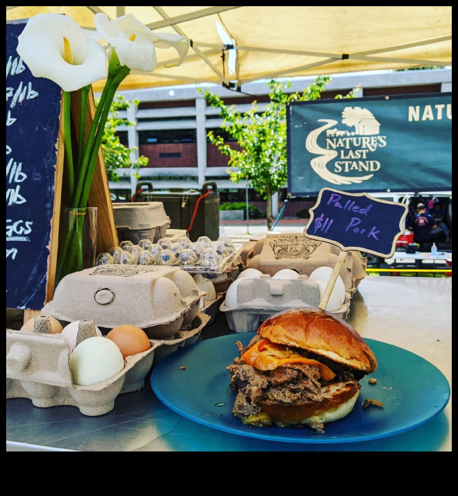 Nature's Refuge: Ecological Reserves in Focus