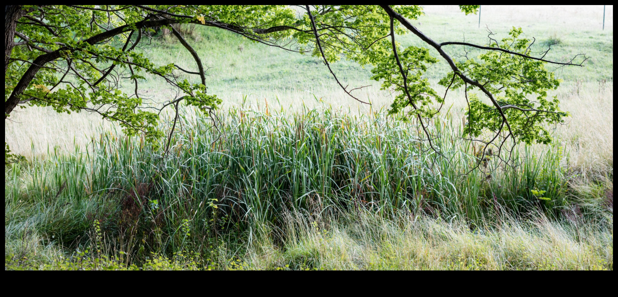 How do natural landscapes inspire artists?