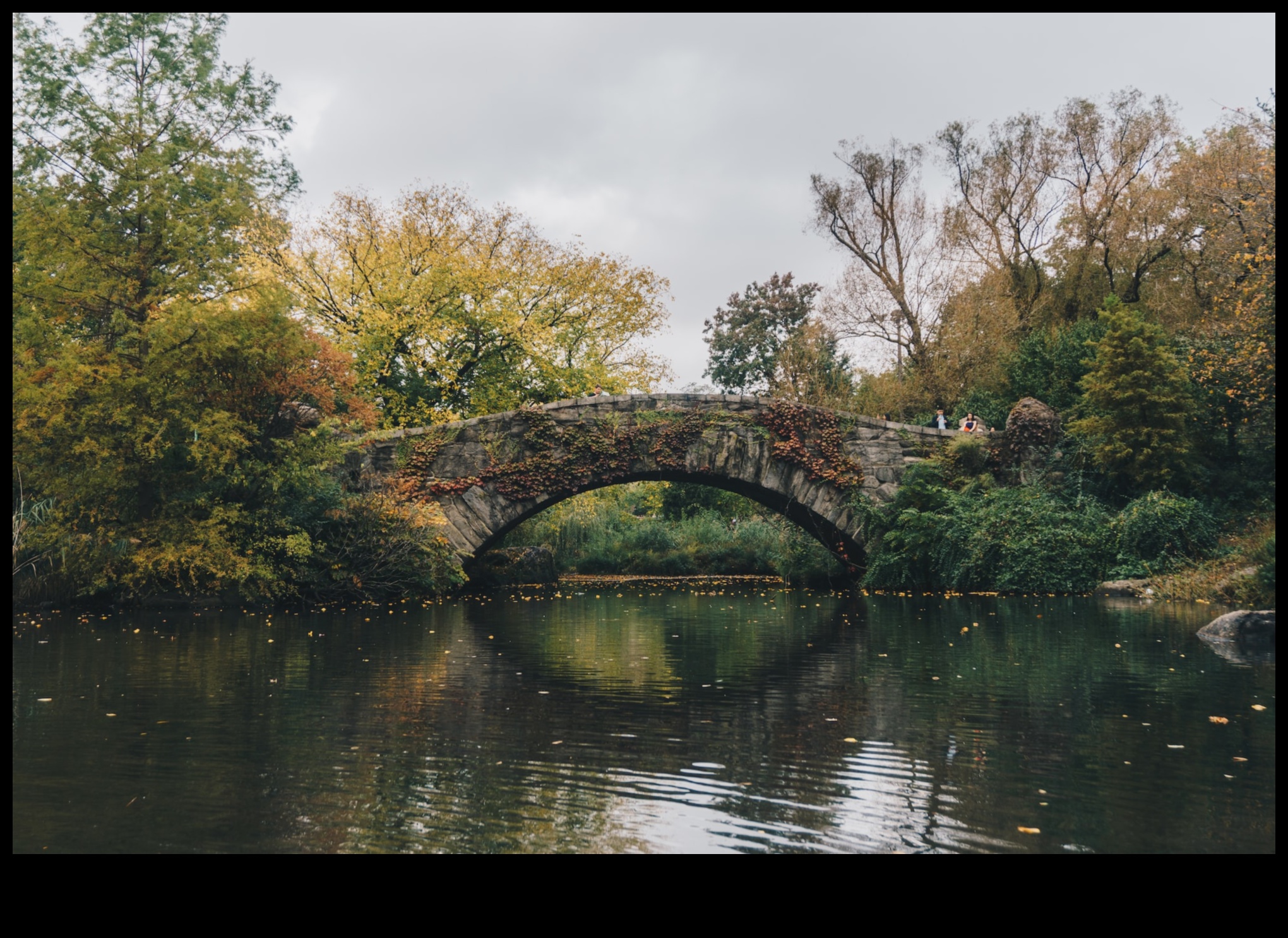Nature's Oasis: A Visual Retreat into Tranquil and Refreshing Landscapes
