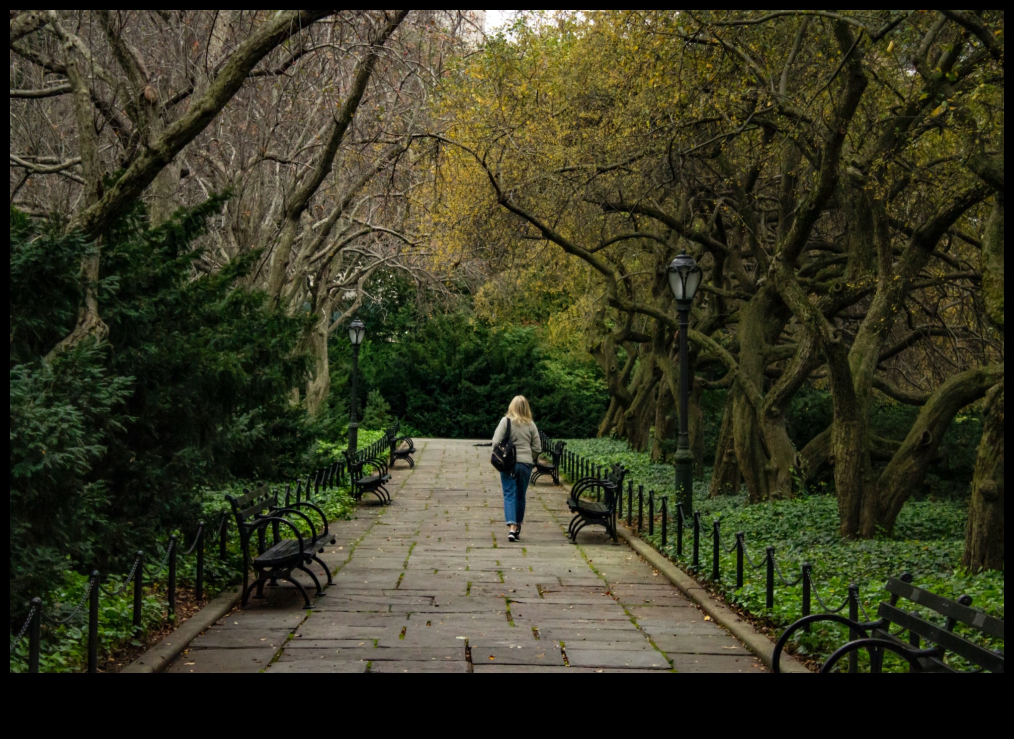 Nature's Oasis: A Visual Retreat into Tranquil and Refreshing Landscapes