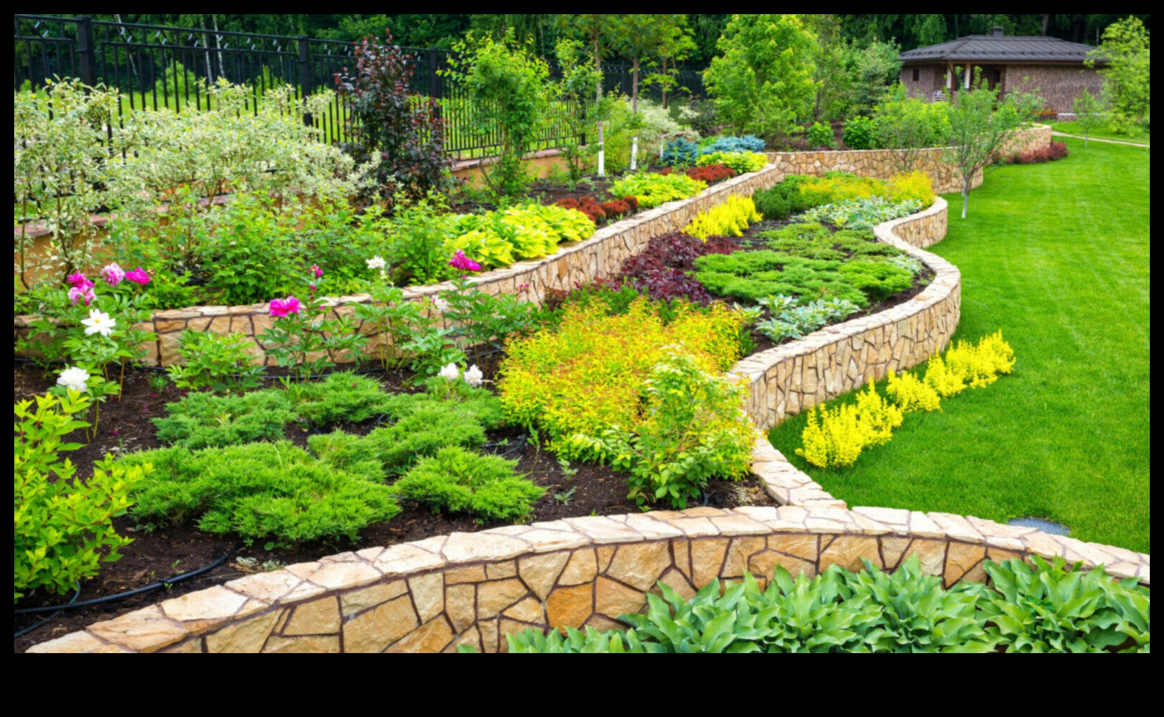 Nature's Palette: Elevate Your Garden with Artistic Expression