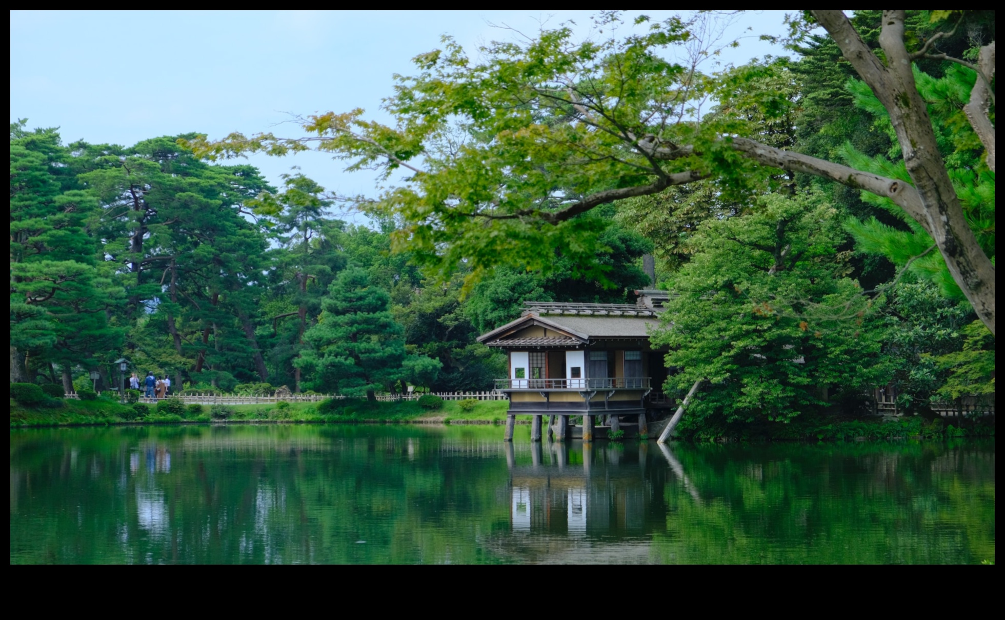 Nature's Palette: Japanese Garden Colors in Harmony