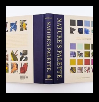 Nature's Palette: Top Tips for a Vibrant and Healthy Garden