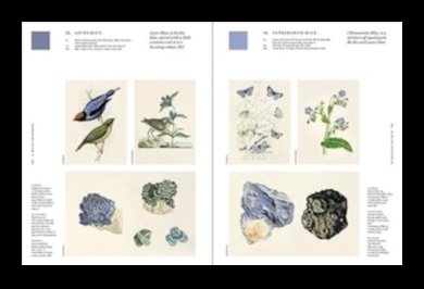 Nature's Palette: Top Tips for a Vibrant and Healthy Garden