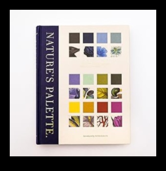 Nature's Palette: Enhancing Your Oasis with Garden Art