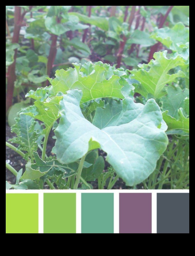 Nature's Palette: DIY Inspirations for a Colorful Garden