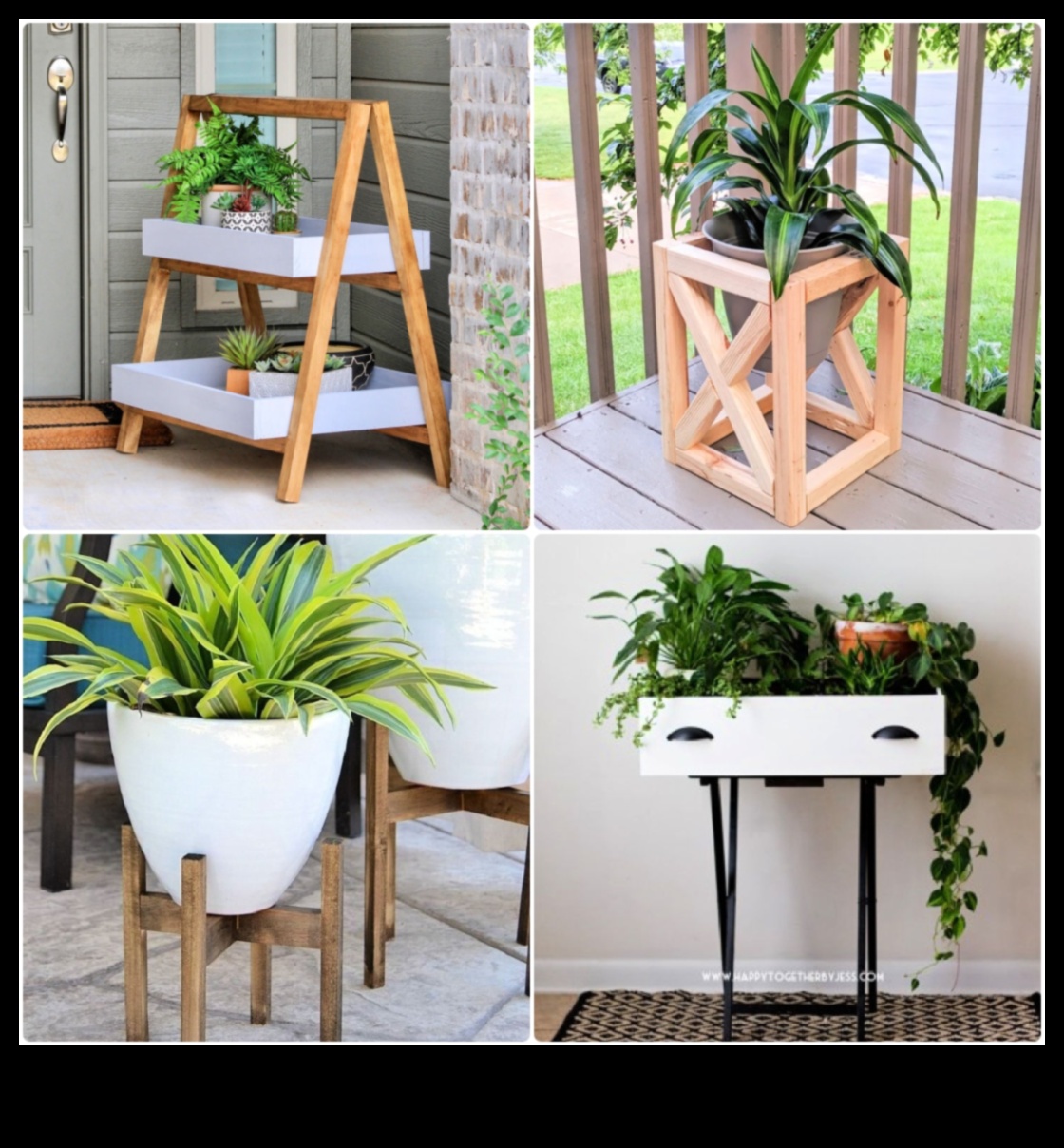 Nature's Palette: Elevate Your Greenery with DIY