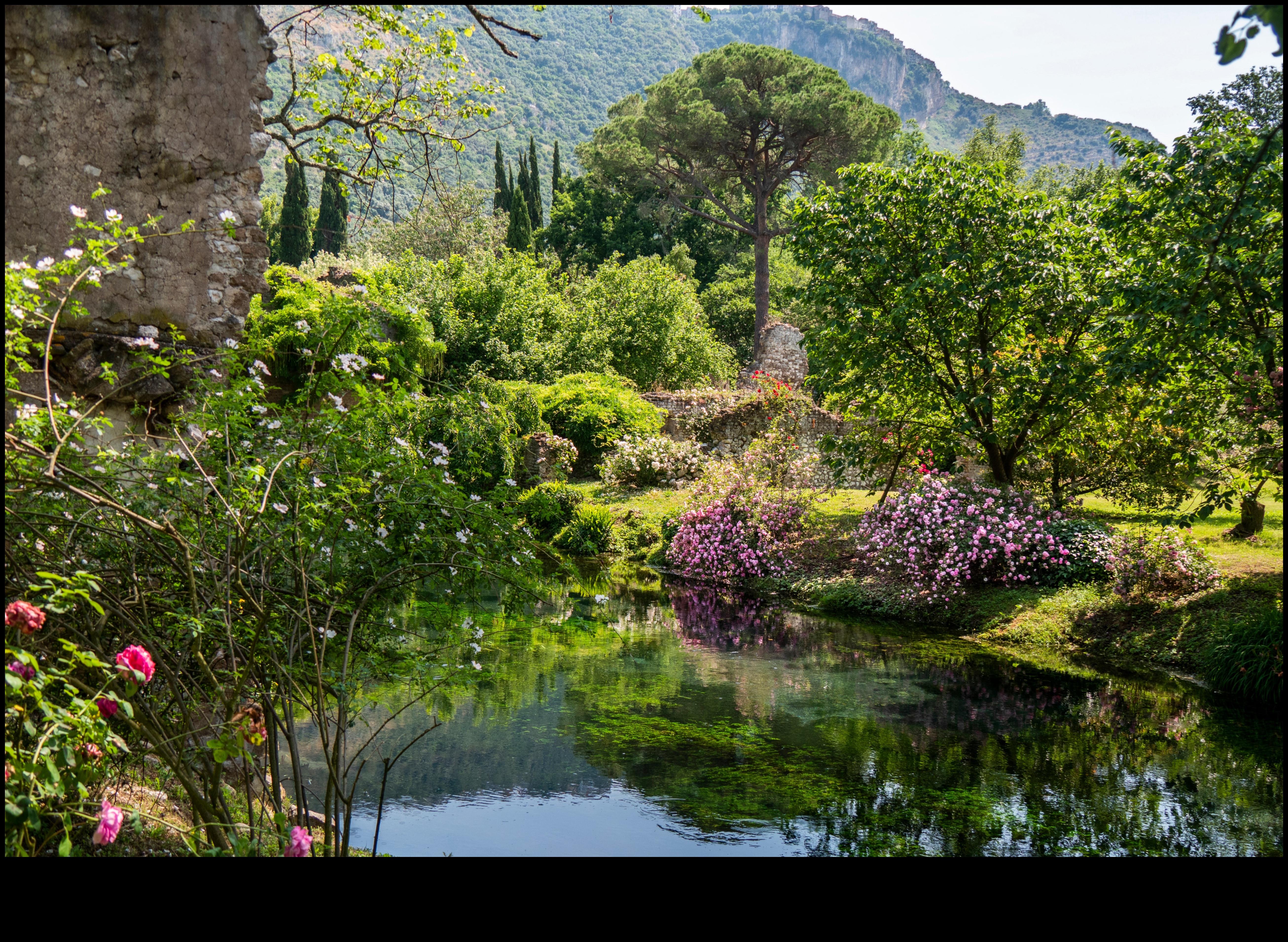 Nature's Palette: Painting Inspiration in Garden Workshops