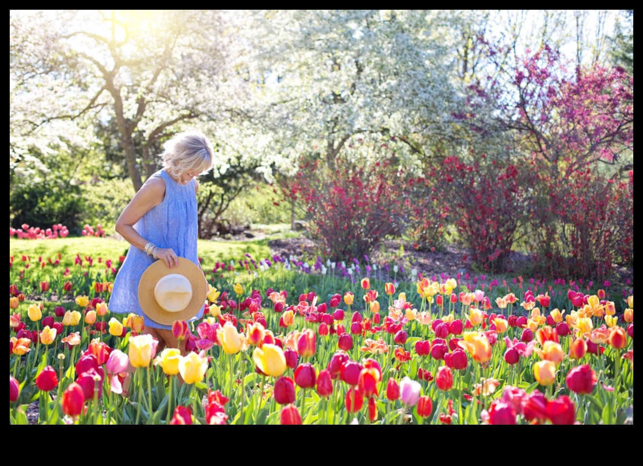 Nature's Palette: Painting Inspiration in Garden Workshops