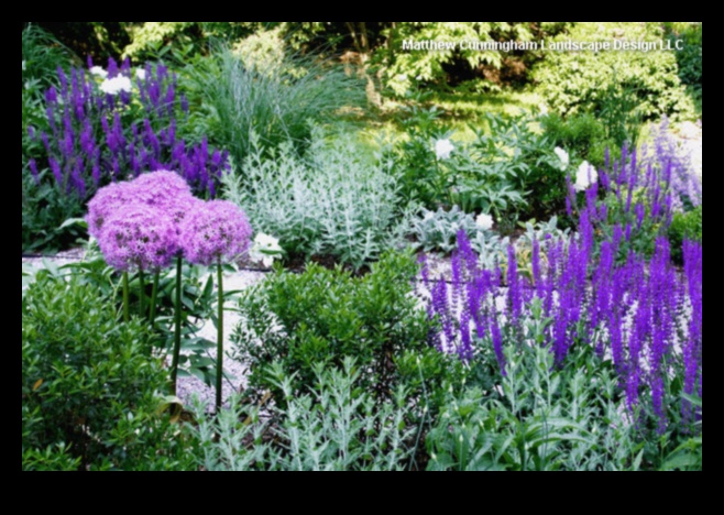 Nature's Palette Garden Design Colors of SerenityA Guide to Using Color to Create a Calm and Tranquil Oasis 1