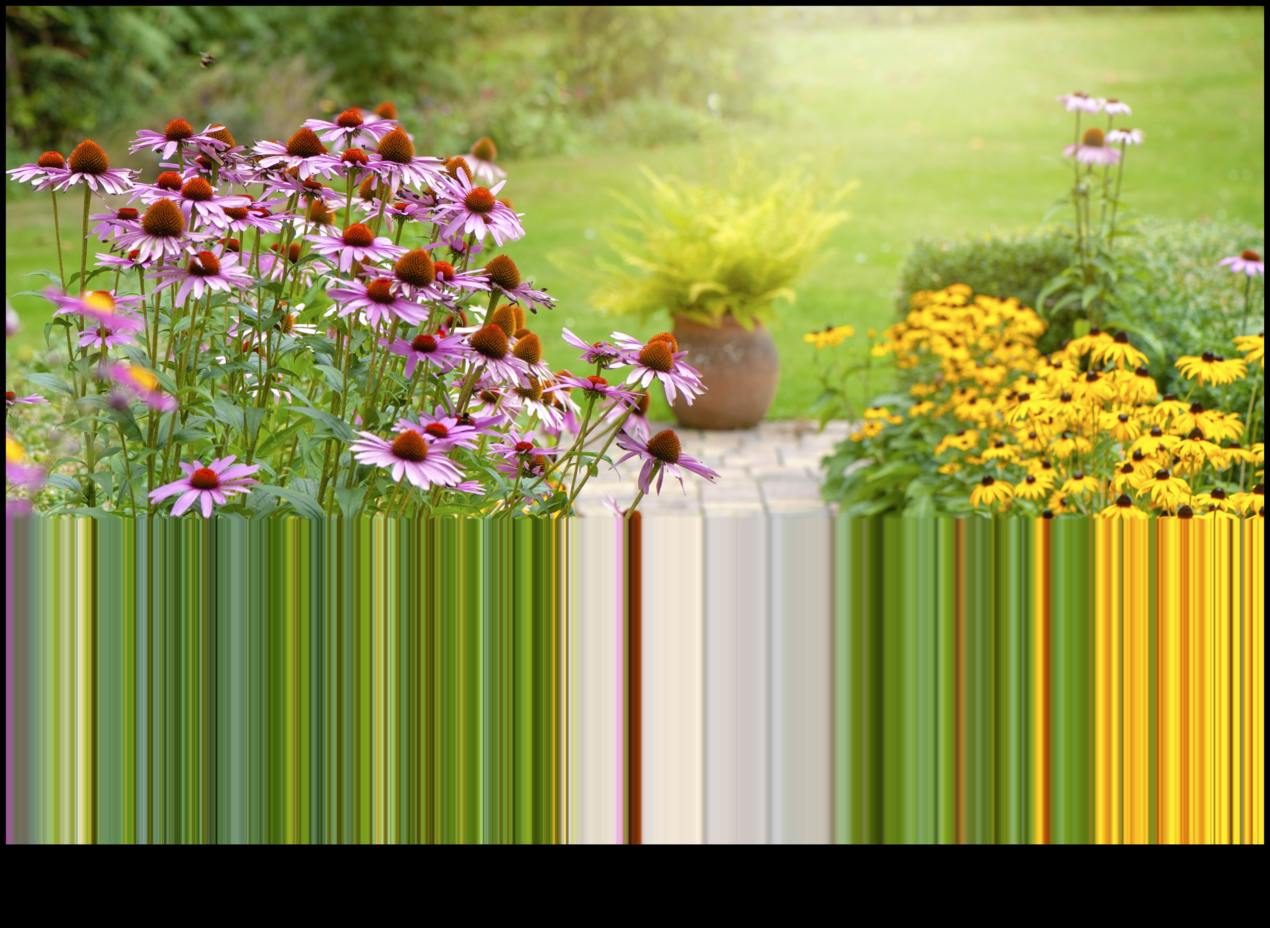 Nature's Palette: Garden Design Colors of Serenity