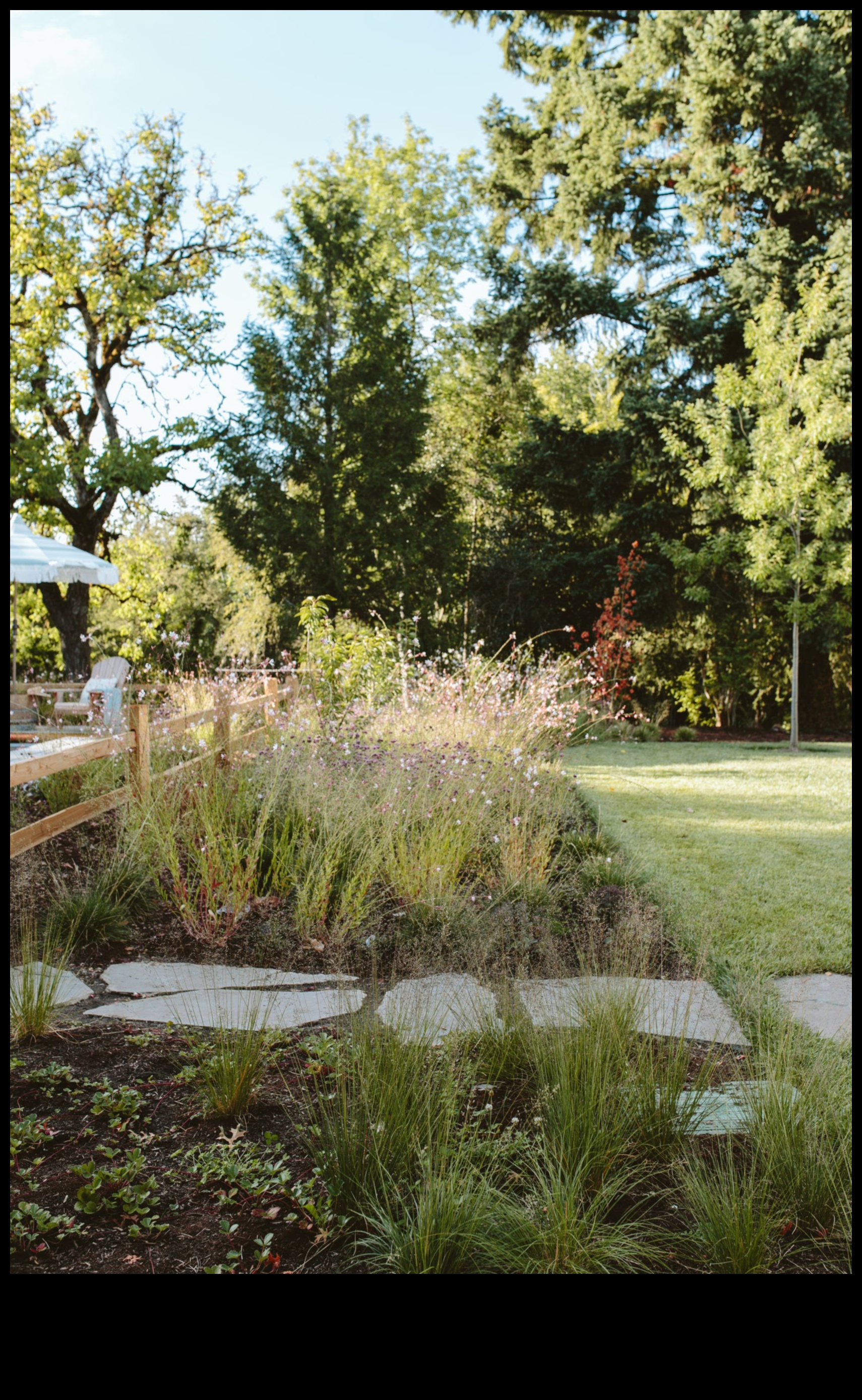 Nature's Palette: Tips for a Vibrant and Healthy Garden