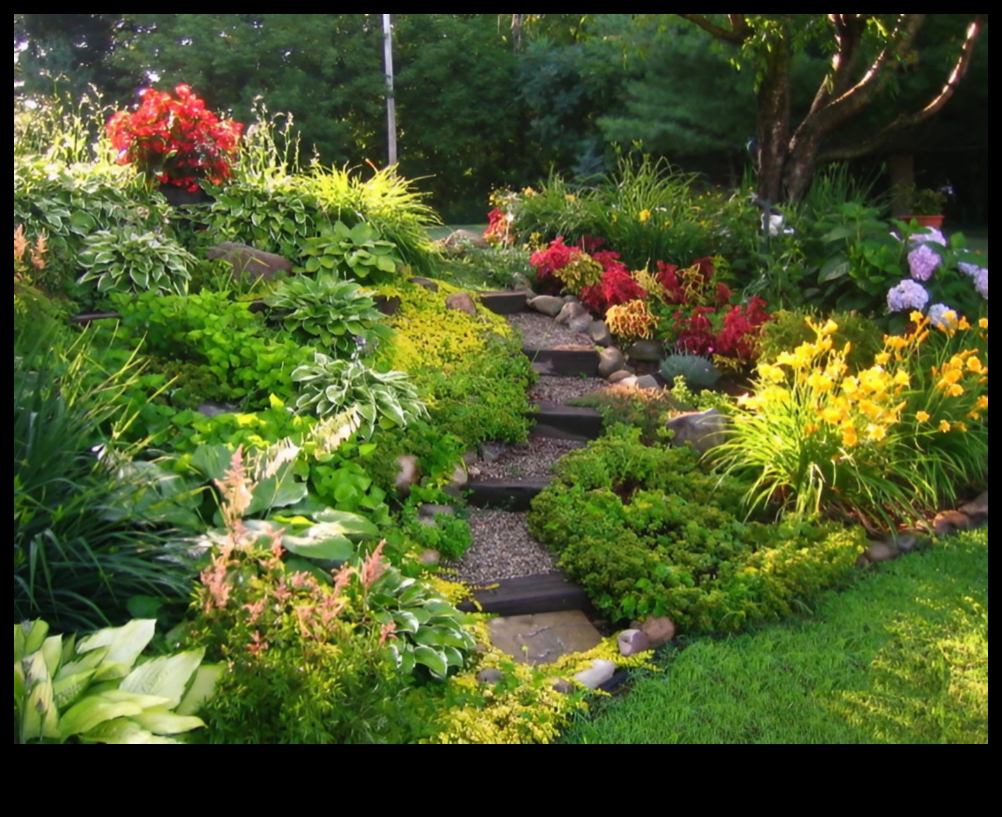 Nature's Palette: Tips for a Vibrant and Healthy Garden