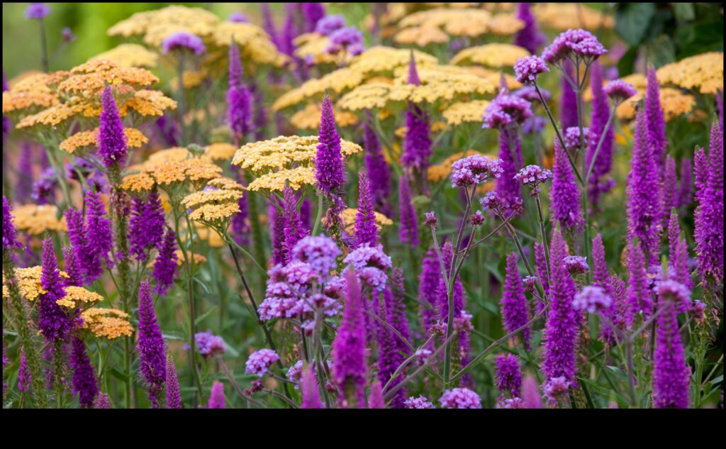 Nature's Palette How to Use Color to Enhance Your Garden 1
