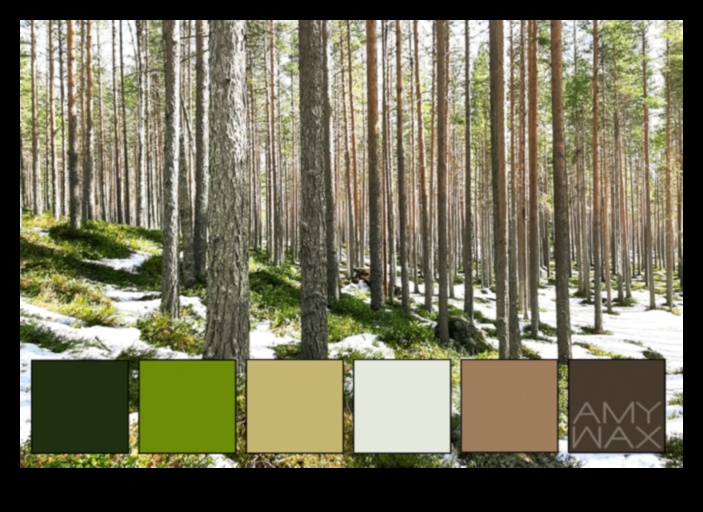 Nature's Palette: Infusing Color into Your Outdoor Canvas