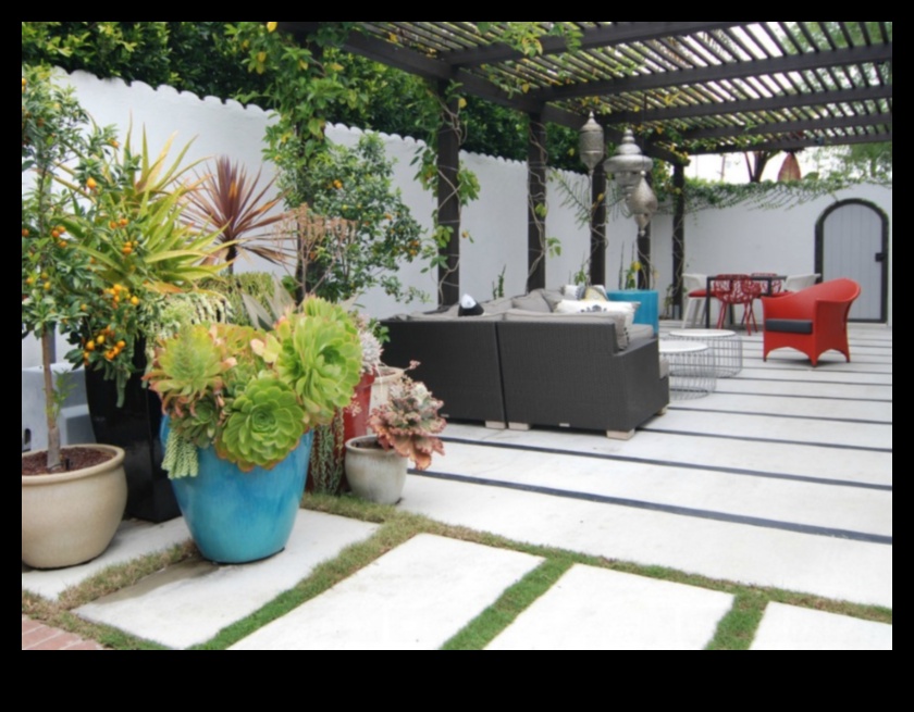 Nature's Palette: Infusing Color into Your Outdoor Canvas