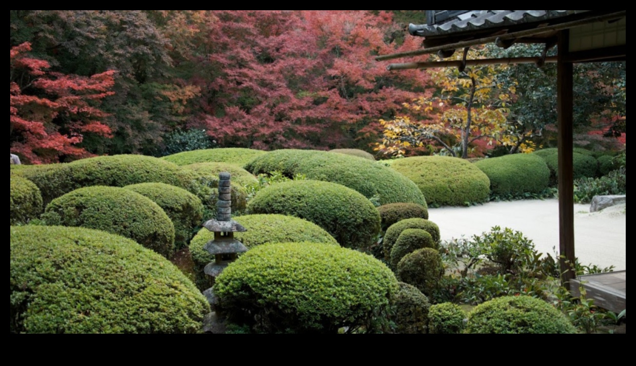 Nature's Poetry: Crafting Japanese Gardens with Grace