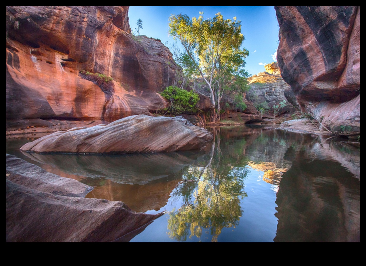 Ecological Reserves: Nature's Safe Havens