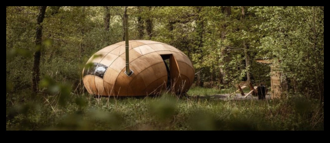 Nature's Guardians: Protected Natural Areas Explored