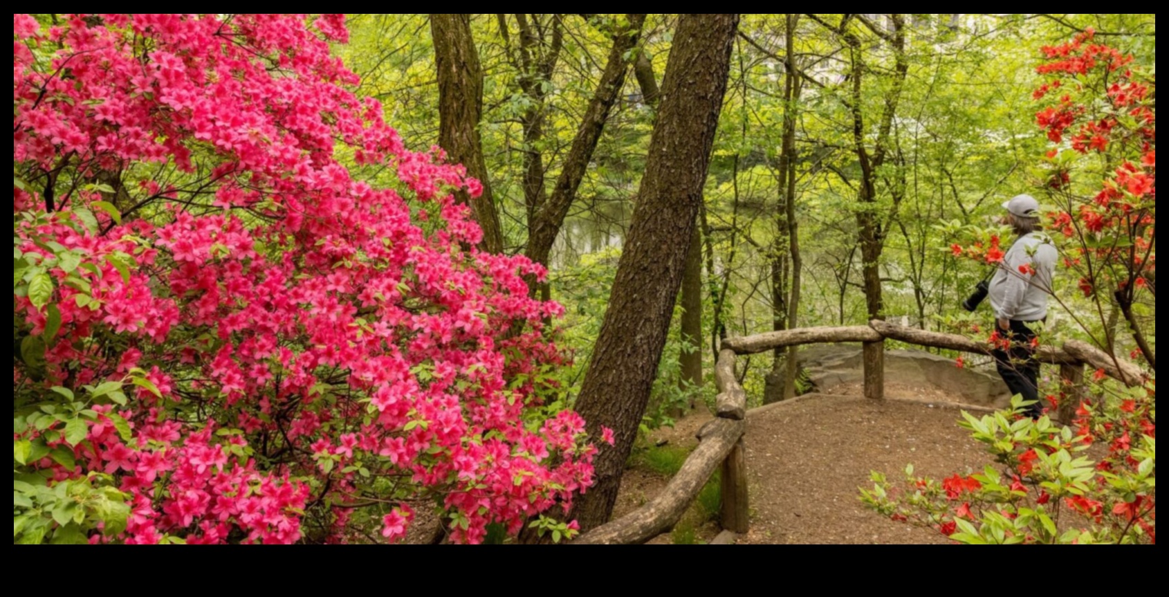 Preserving Wonders: Protected Natural Areas Highlighted