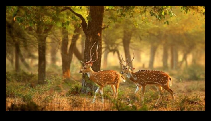 Preserving Wonders: Protected Natural Areas Highlighted