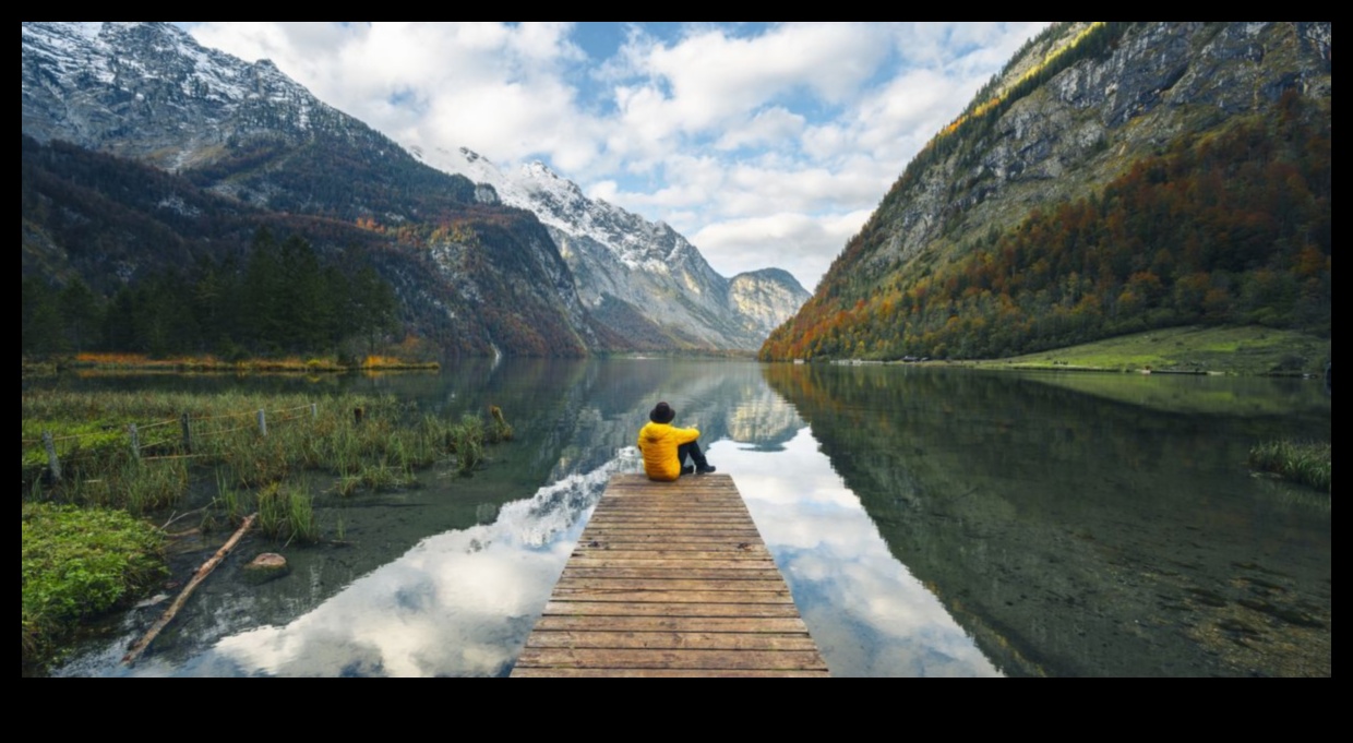 Nature's Seating: Infusing Charm into Your Outdoor Haven