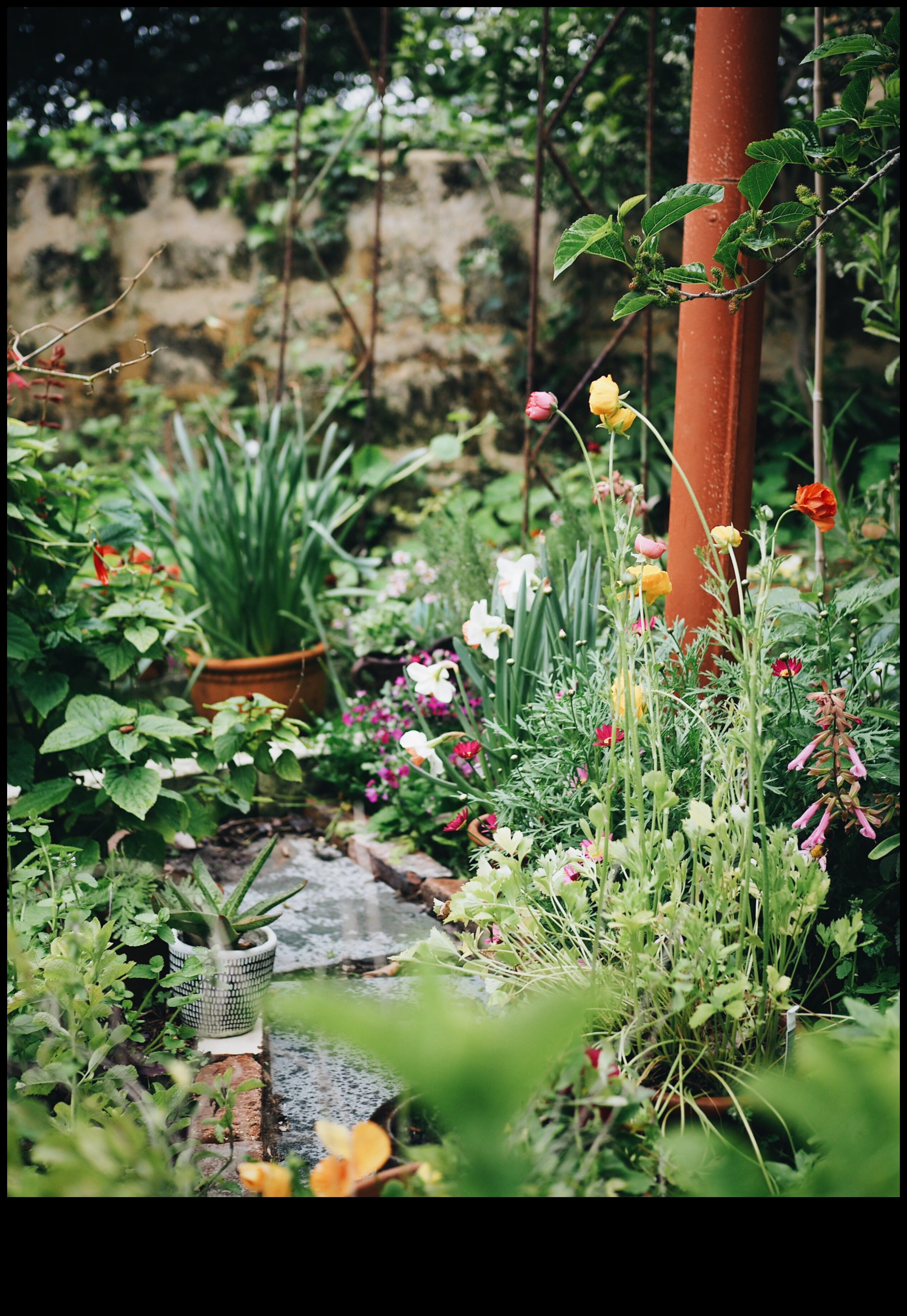 Nature's Secrets: Essential Tips for a Thriving Garden