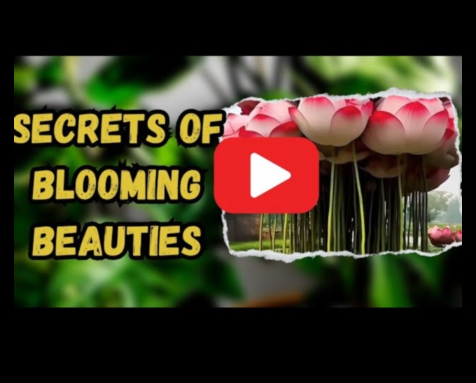 Nature's Secrets Unveiled 7 Tips for a Blooming Garden 1