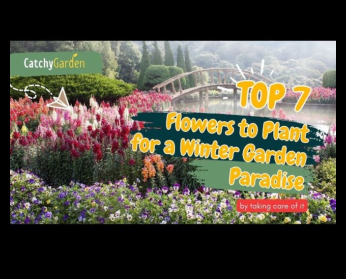Nature's Secrets Unveiled: Tips for a Flourishing Garden