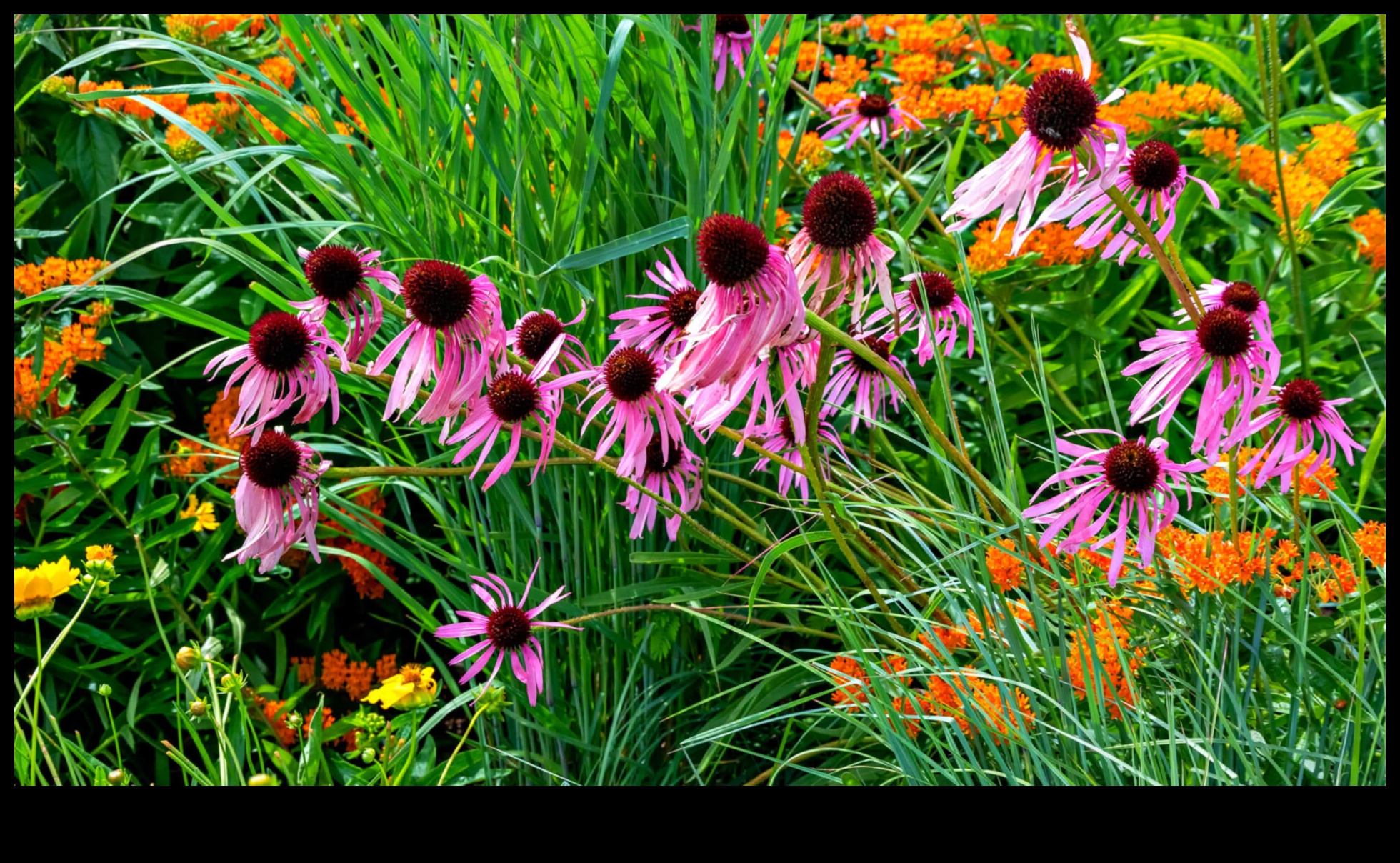 Nature's Secrets Unveiled: DIY Elegance for a Flourishing Garden