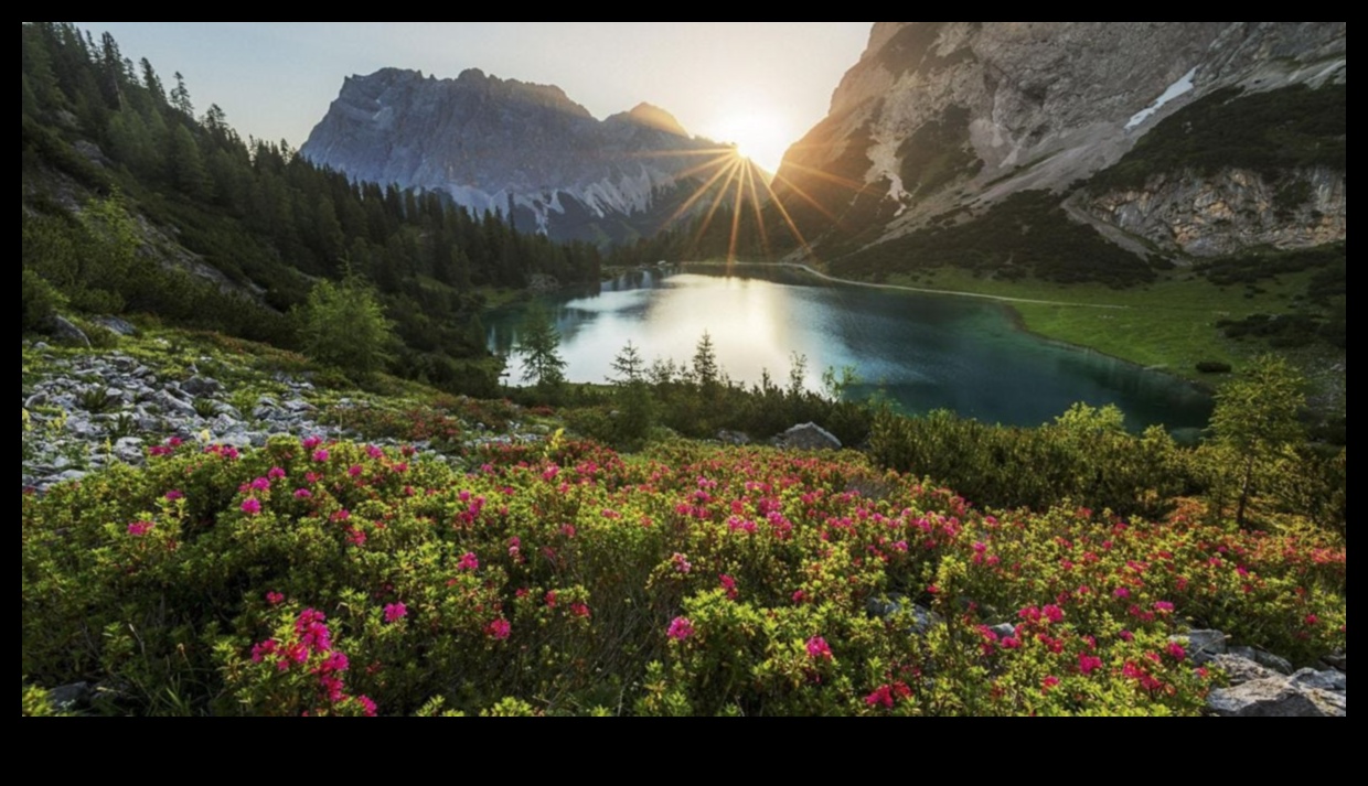 Nature's Serenade: Infusing Artistry into Your Outdoor Oasis