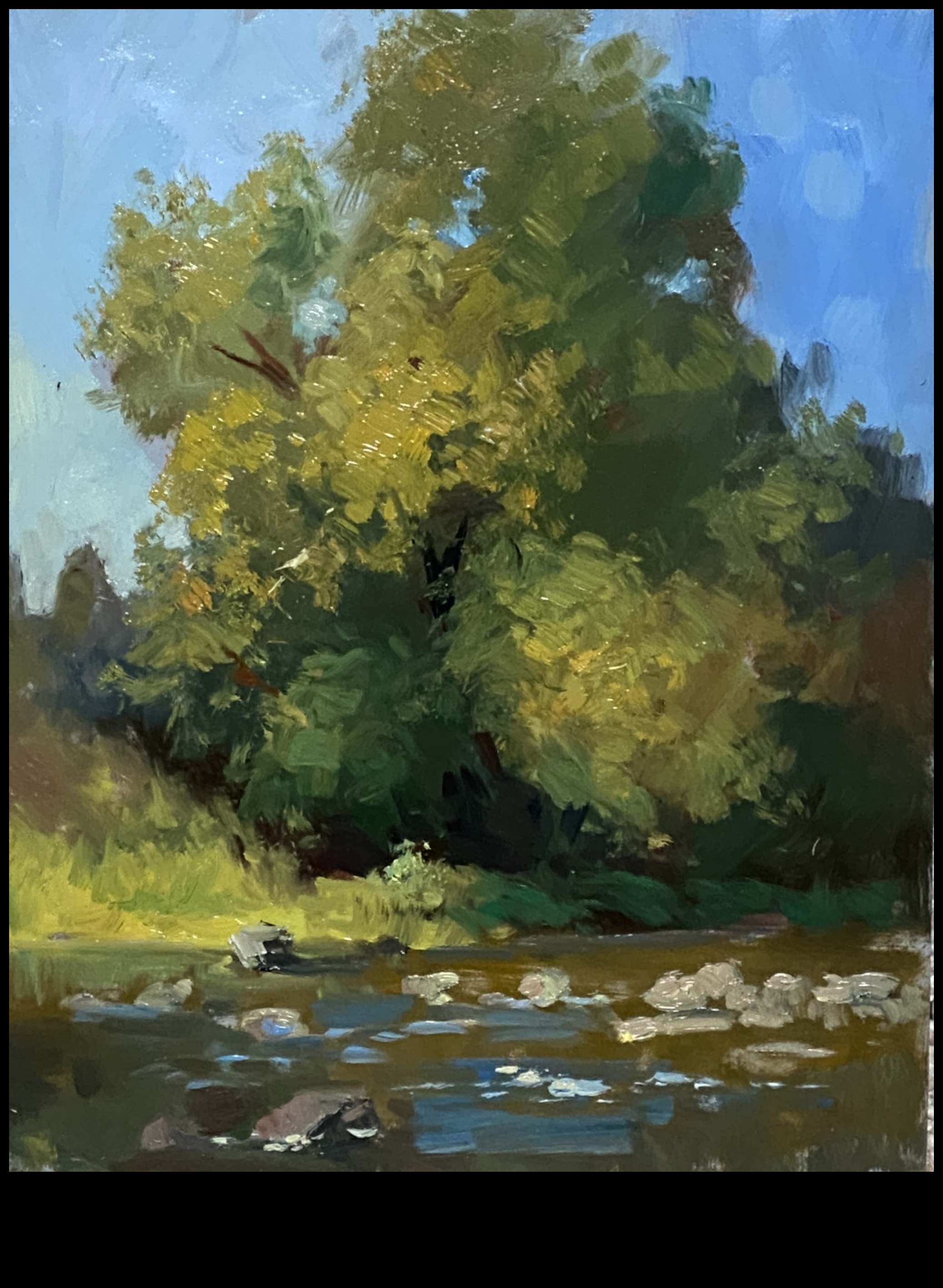 Nature's Serenade: Infusing Artistry into Your Outdoor Oasis