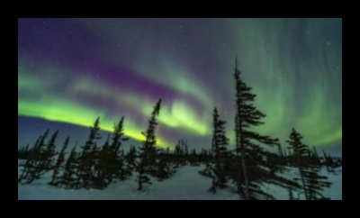 Nature's Spectacular Displays 1