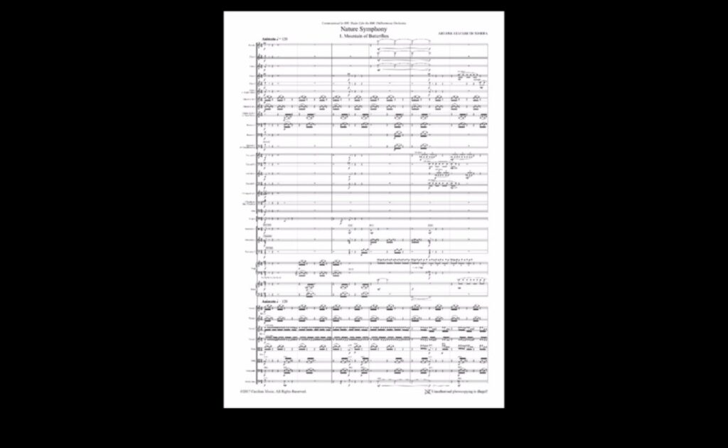 Nature's Symphony The Inspiration for Landscape Music Composition 1