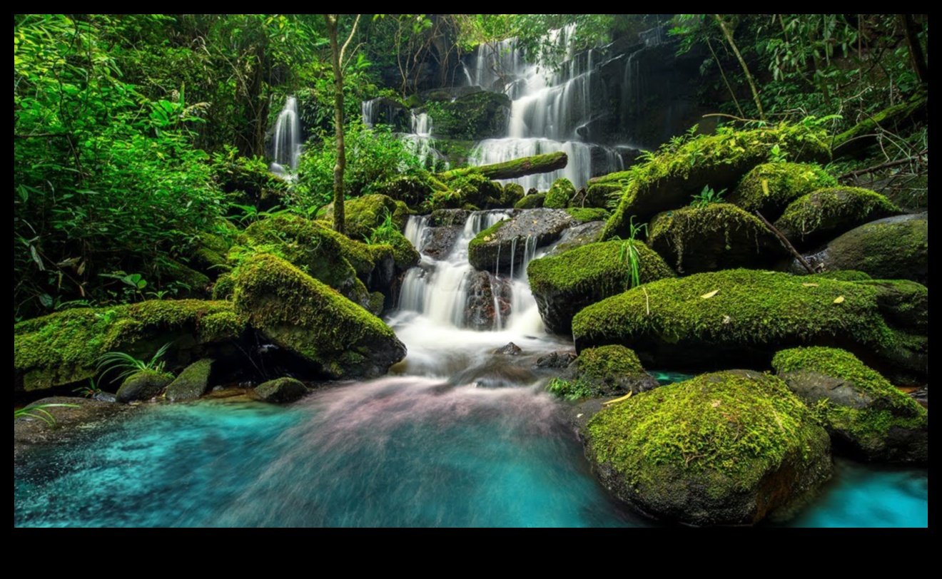 Cascading Elegance II: New Perspectives on Waterfalls and Cascades