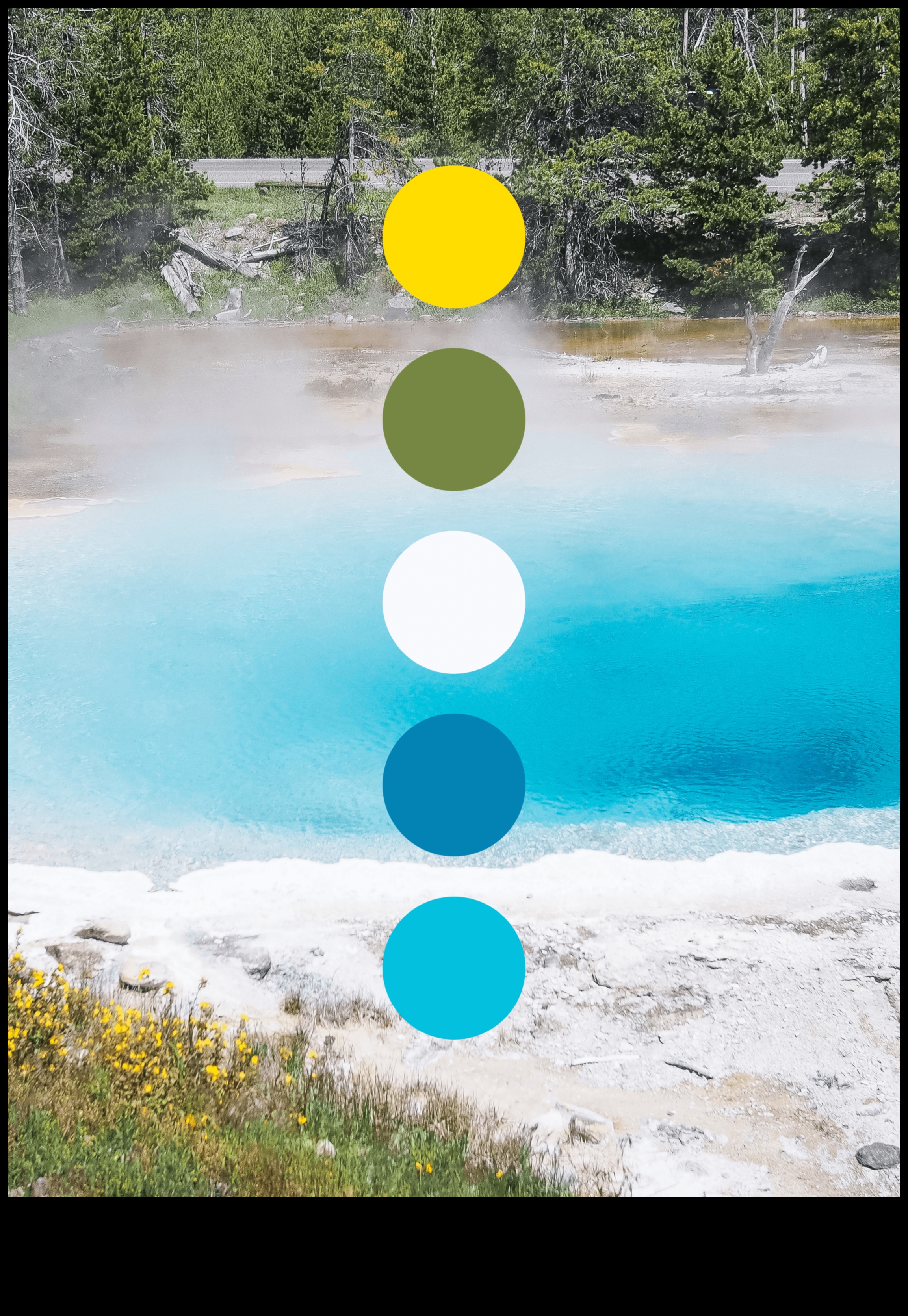 Nature's Palette: A Rich Collection of Vibrant Landscape Shots in Every Frame