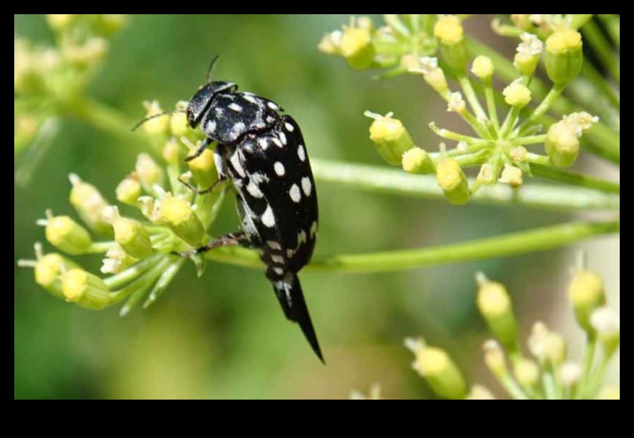 Nip It in the Bud A Gardener's Guide to Pest MasteryHow to Keep Your Garden Pest-Free and Thriving 1