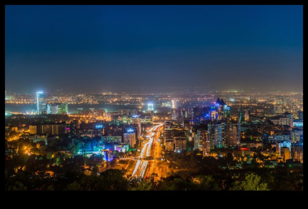 Nocturnal Landscapes Light and Noise Pollution 1