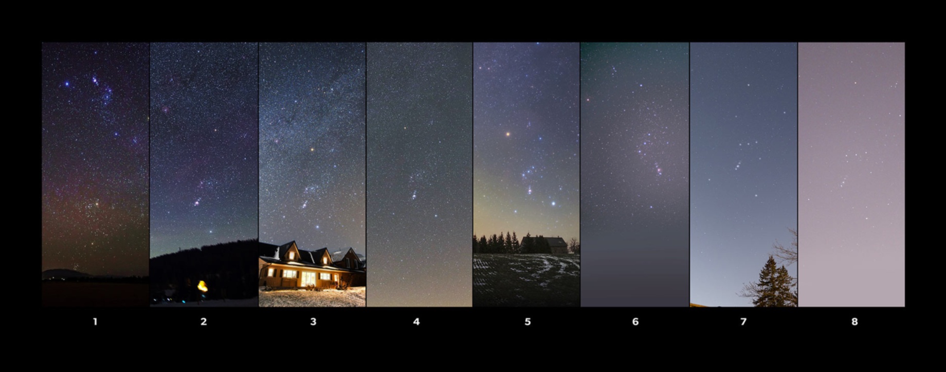 What is the impact of light and noise pollution on nocturnal landscapes?