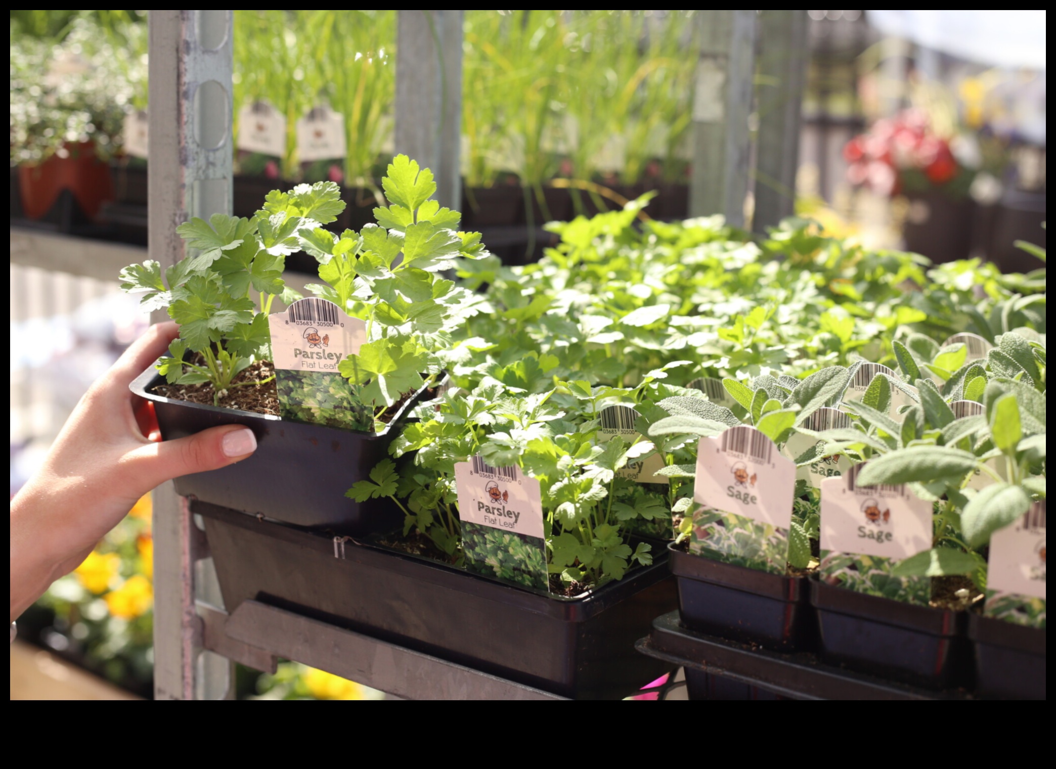 Nourishing Nature: Exploring the Magic of Organic Gardening